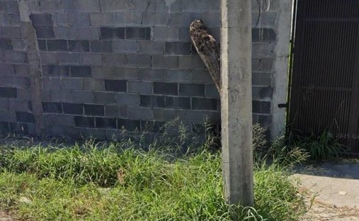 Terreno en Guadalupe, Nuevo León, México 1