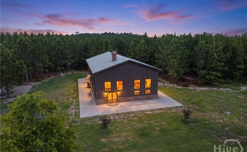 House in Sylvania, Georgia, United States 1