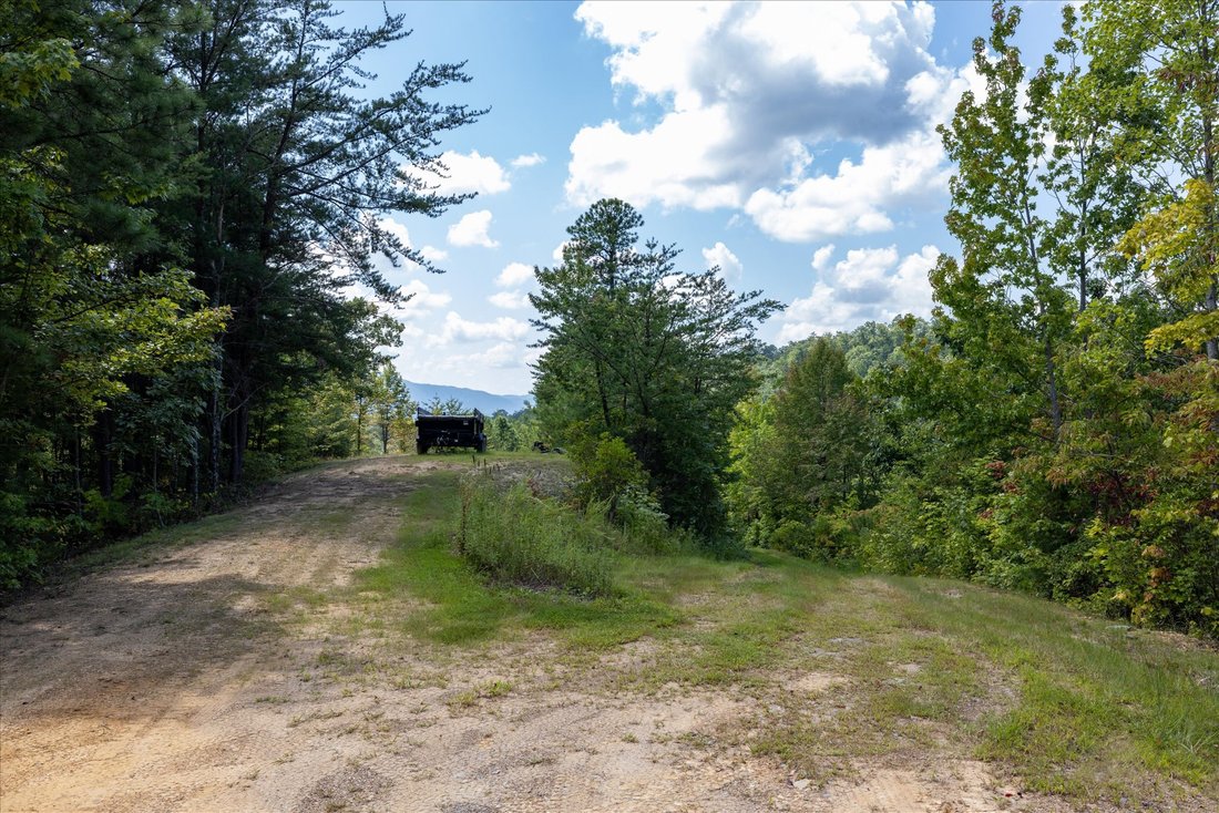 Terreno en Townsend, Tennessee, Estados Unidos 5 - 18775874