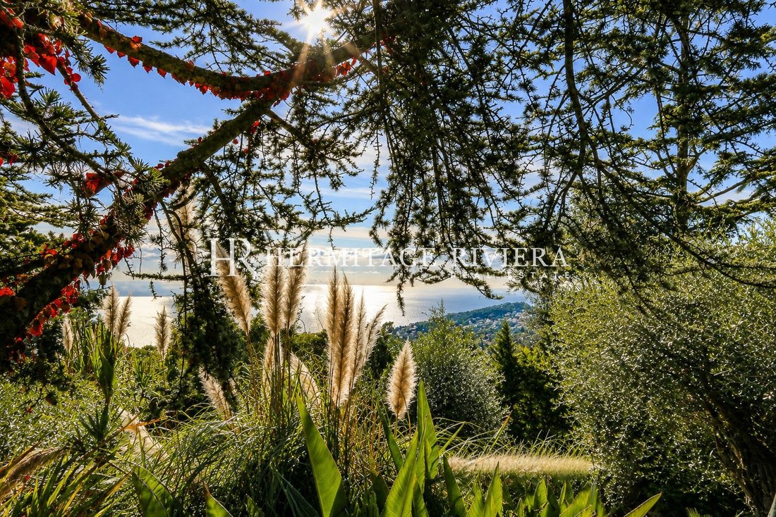 Villa in Le Port, Villefranche-sur-Mer, France 5 - 14046626