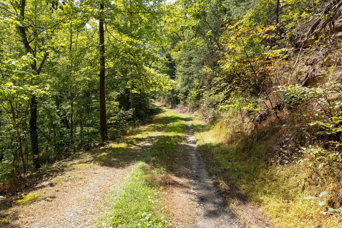 Terreno en Townsend, Tennessee, Estados Unidos 4 - 18775874
