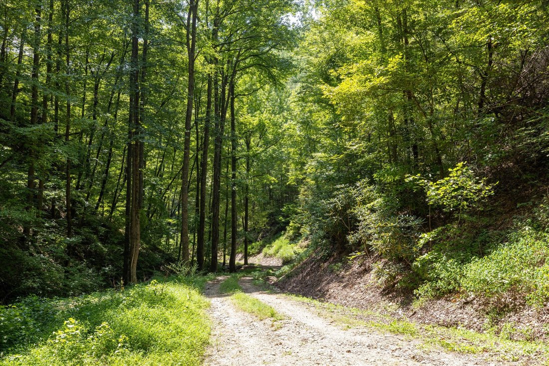 Terreno en Townsend, Tennessee, Estados Unidos 3 - 18775874