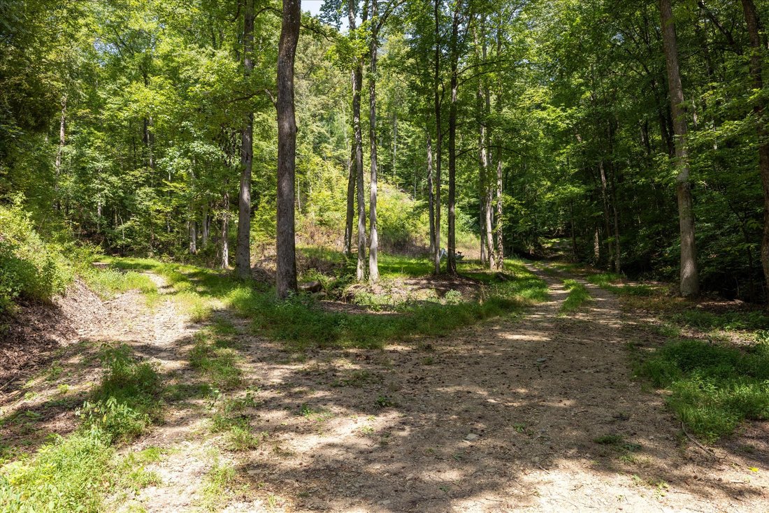 Terreno en Townsend, Tennessee, Estados Unidos 2 - 18775874