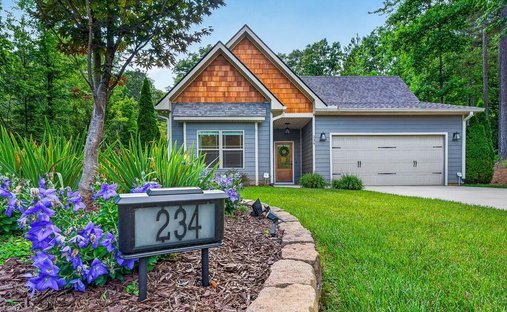 House in Ellijay, Georgia, United States 1