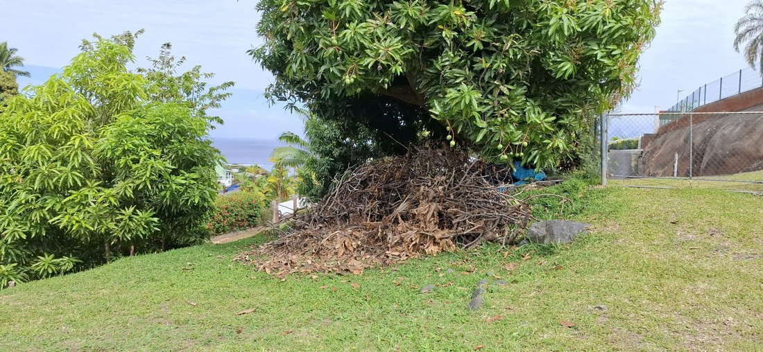 Land in Punaauia, Inseln über dem Winde, Französisch-Polynesien 4 - 18781296