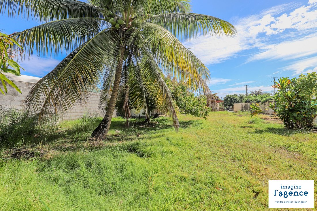 Land in Arue, Inseln über dem Winde, Französisch-Polynesien 2 - 18781294