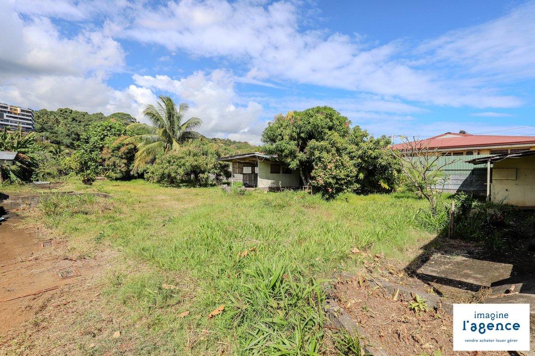 Land in Arue, Inseln über dem Winde, Französisch-Polynesien 3 - 18781294