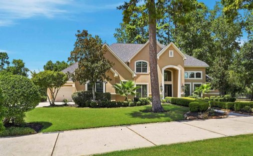 House in Humble, Texas, United States 1