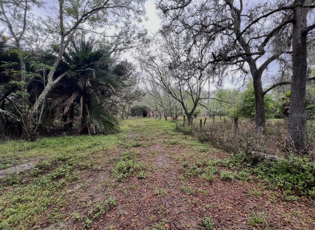 Terrain à Spring Hill, Floride, États-Unis 2 - 18778390