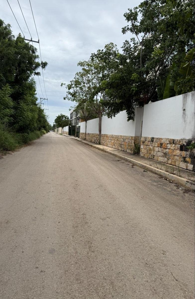 Land in Mérida, Yucatan, Mexico 4 - 18777194