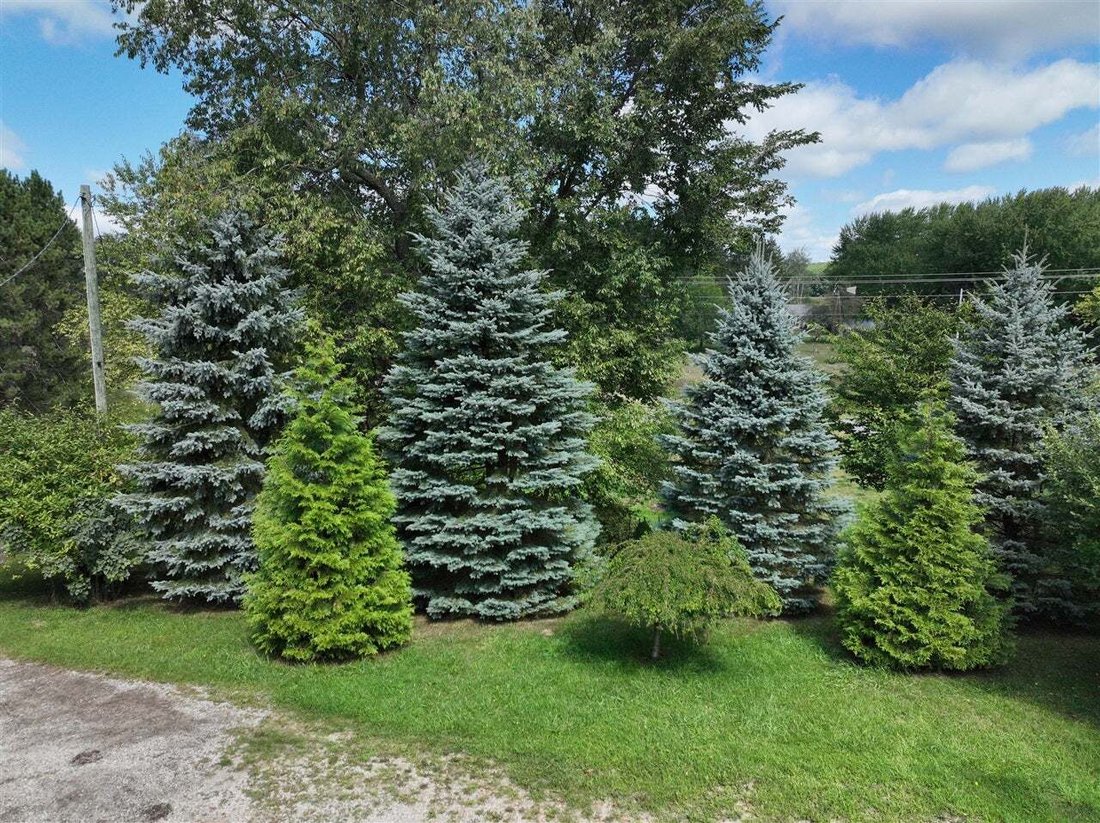 House in Blanchard, Michigan, United States 4 - 18776229