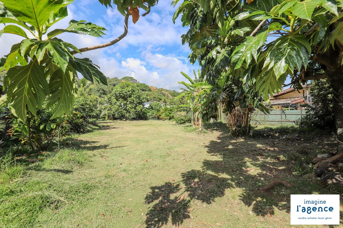 Land in Arue, Inseln über dem Winde, Französisch-Polynesien 1 - 18781294