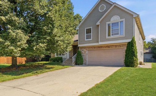 House in Palatine, Illinois, United States 1