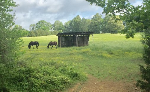Farm Ranch in Siler City, North Carolina, Vereinigte Staaten 1
