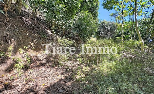 Land in Arue, Inseln über dem Winde, Französisch-Polynesien 1