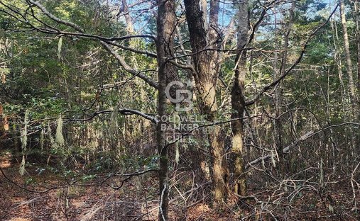 Terreno a Pucón, Araucanía, Cile 1