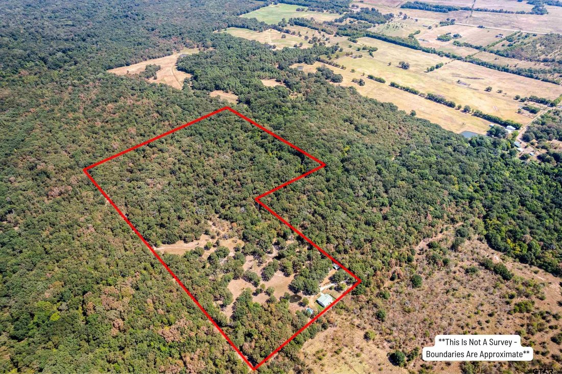Azienda agricola a Mount Vernon, Texas, Stati Uniti 2 - 18780067