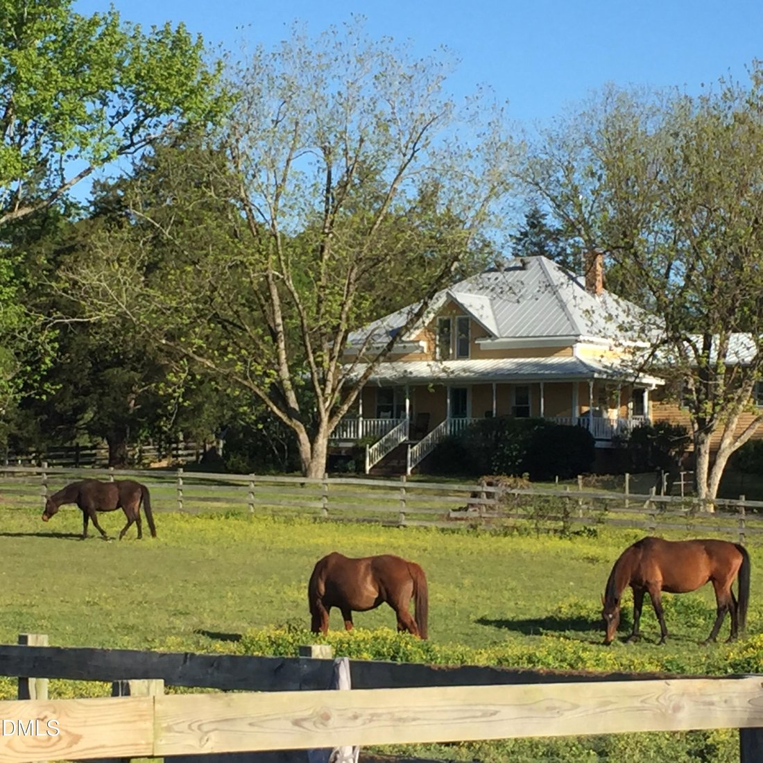 Farm Ranch in Siler City, North Carolina, United States 1 - 18450359