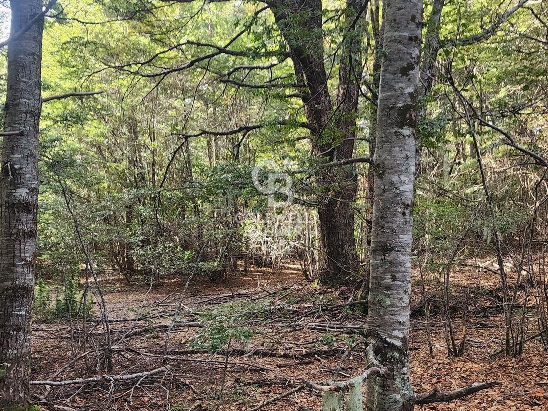 Terreno a Pucón, Araucanía, Cile 2 - 18776808