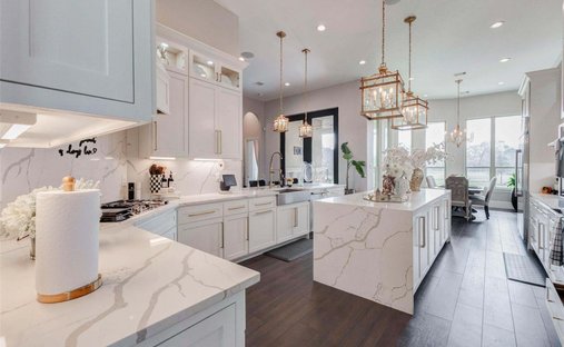 House in Rosharon, Texas, United States 1