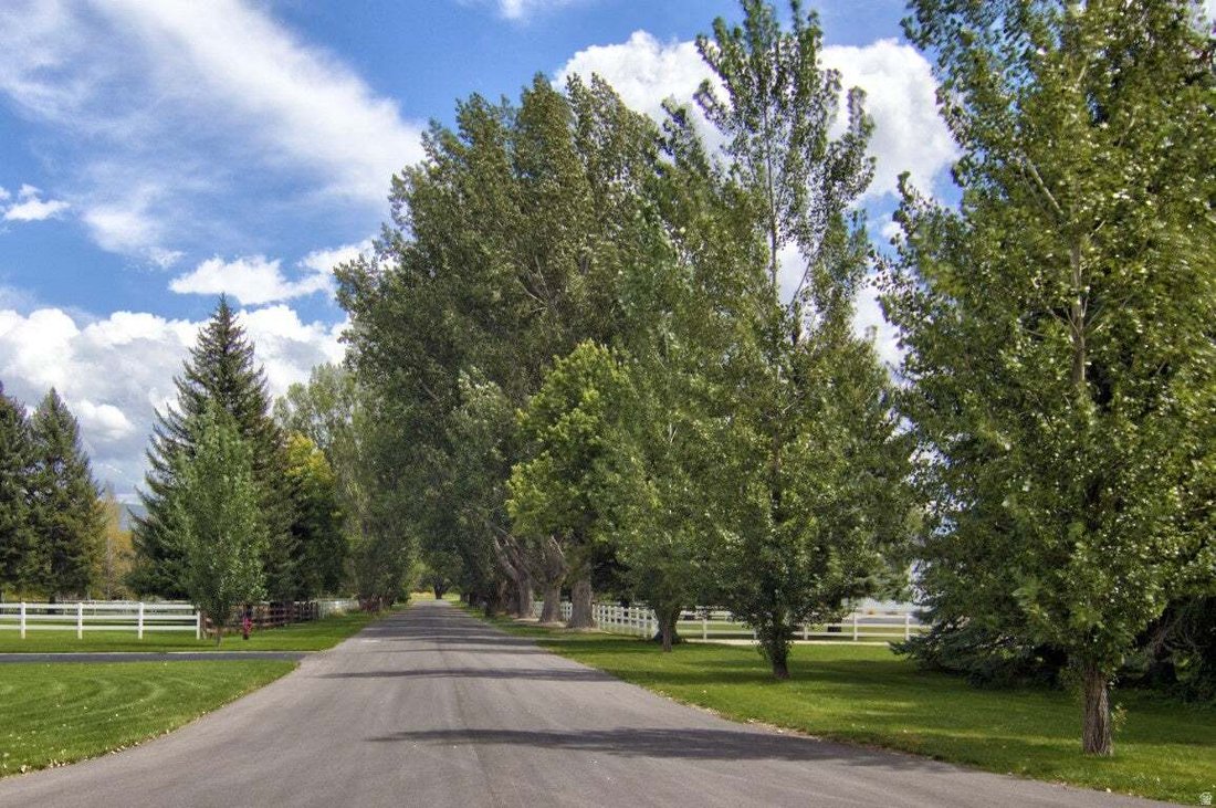 Haus in Midway, Utah, Vereinigte Staaten 3 - 18779151