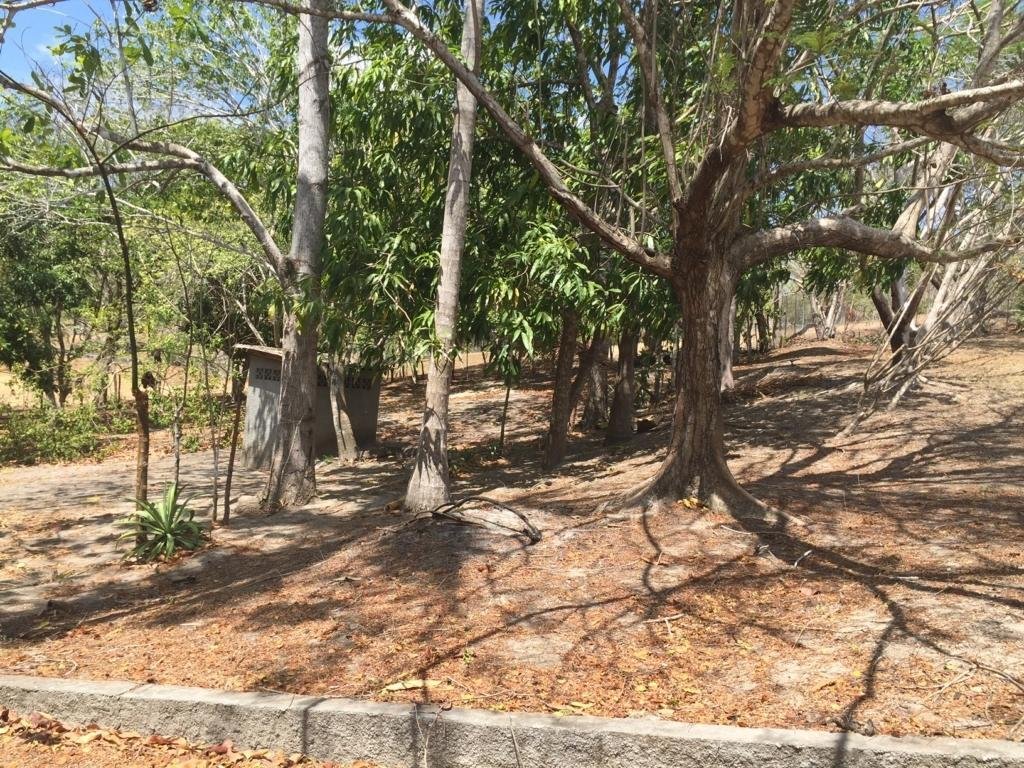 Terreno a Distretto di San Carlos, Provincia di Panama, Panamá 5 - 18781786