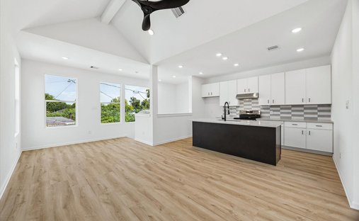 Houston, Texas, United States 1