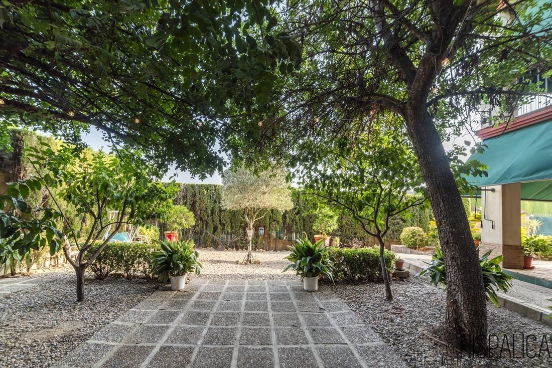 Villa in Ecija, Andalusia, Spain 1 - 18776951