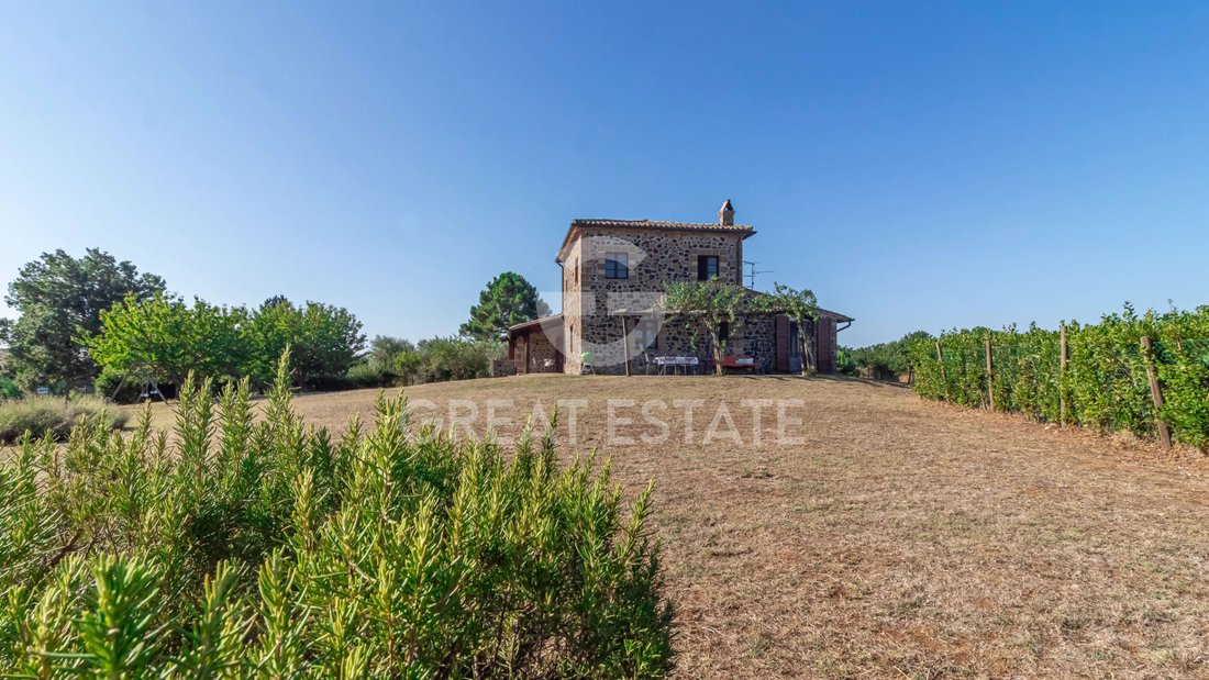 Domaine à Centro, Orvieto, Ombrie 3 - 18780077