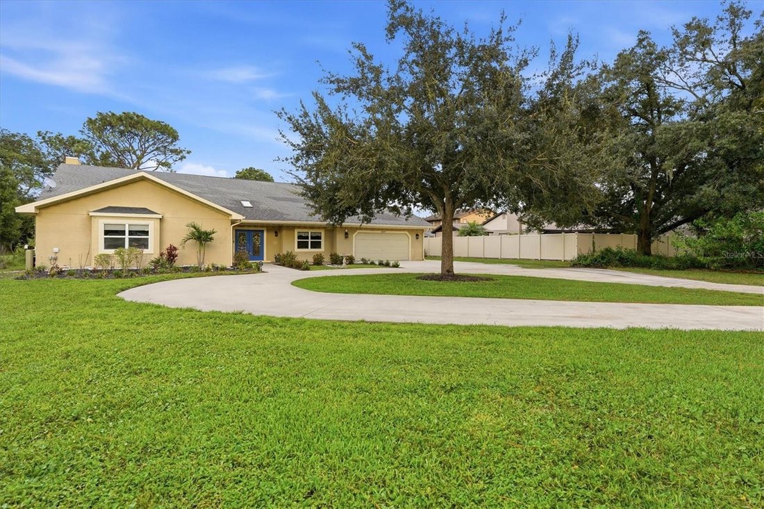 House in Tampa, Florida, United States 2 - 18594206