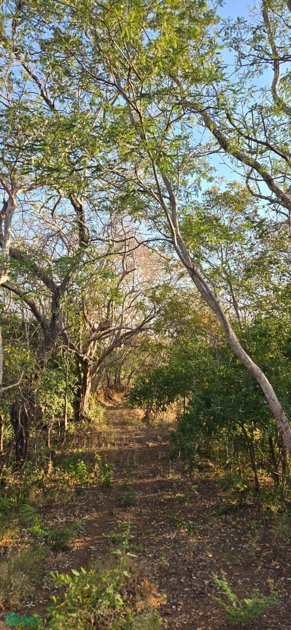 Land in Tamarindo, Santa Cruz, Costa Rica 4 - 17810749