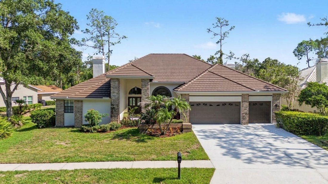 Casa en Oldsmar, Florida, Estados Unidos 1 - 18776203