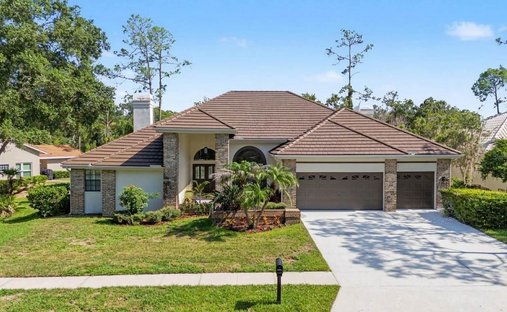 Haus in Oldsmar, Florida, Vereinigte Staaten 1