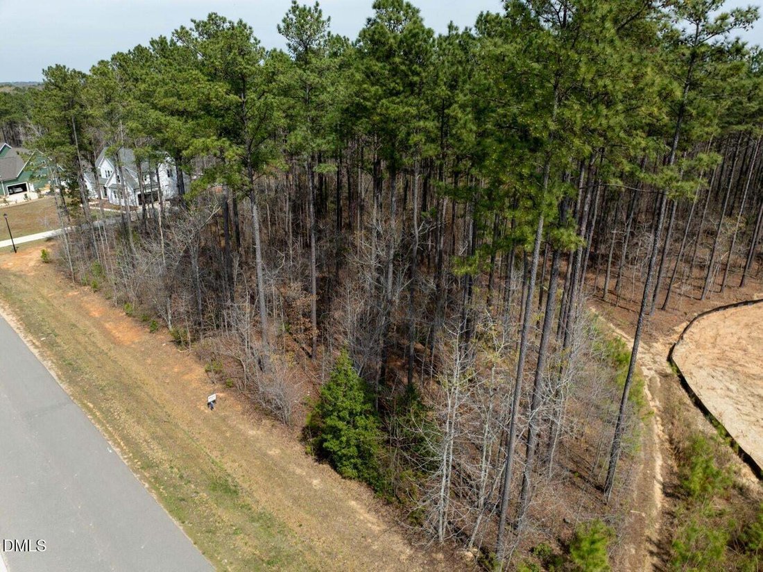 House in Franklinton, North Carolina, United States 5 - 17696877