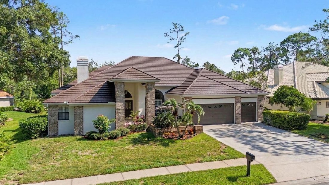 Casa en Oldsmar, Florida, Estados Unidos 4 - 18776203