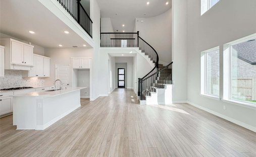 House in Spring, Texas, United States 1