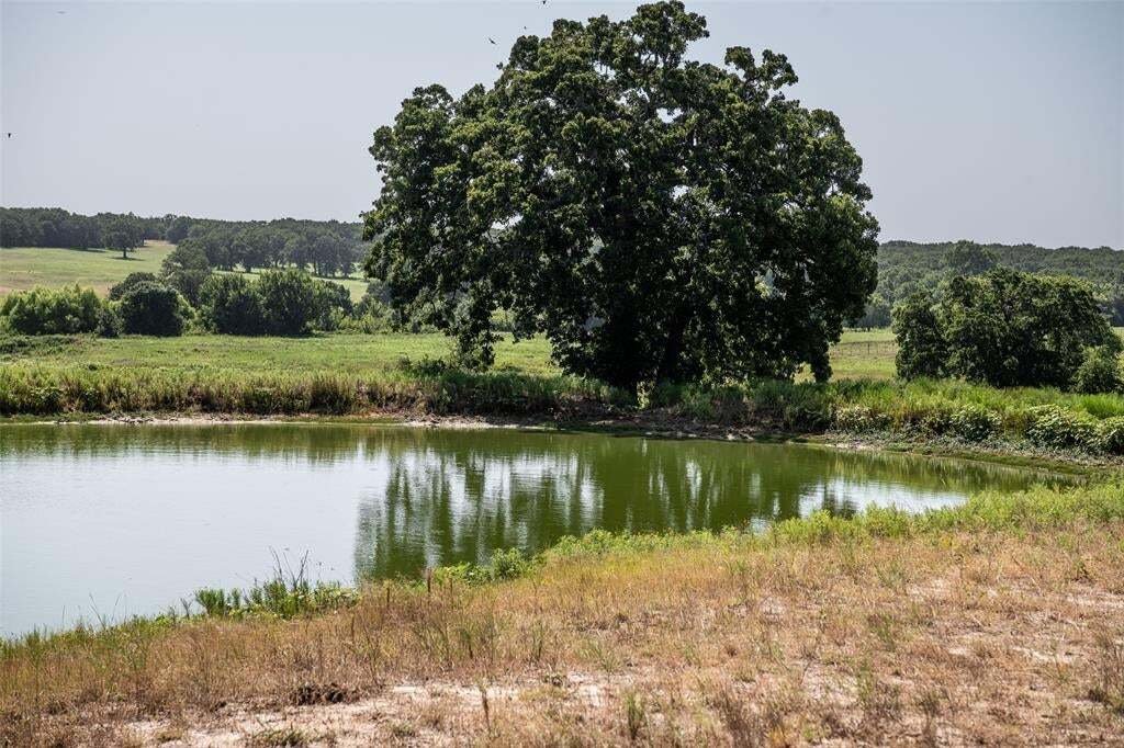 Azienda agricola a Sunset, Texas, Stati Uniti 4 - 18782037