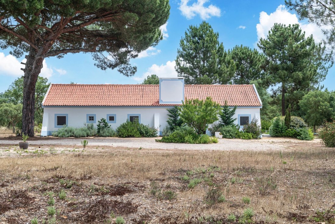 Country House in Melides, Setubal, Portugal 3 - 18392868