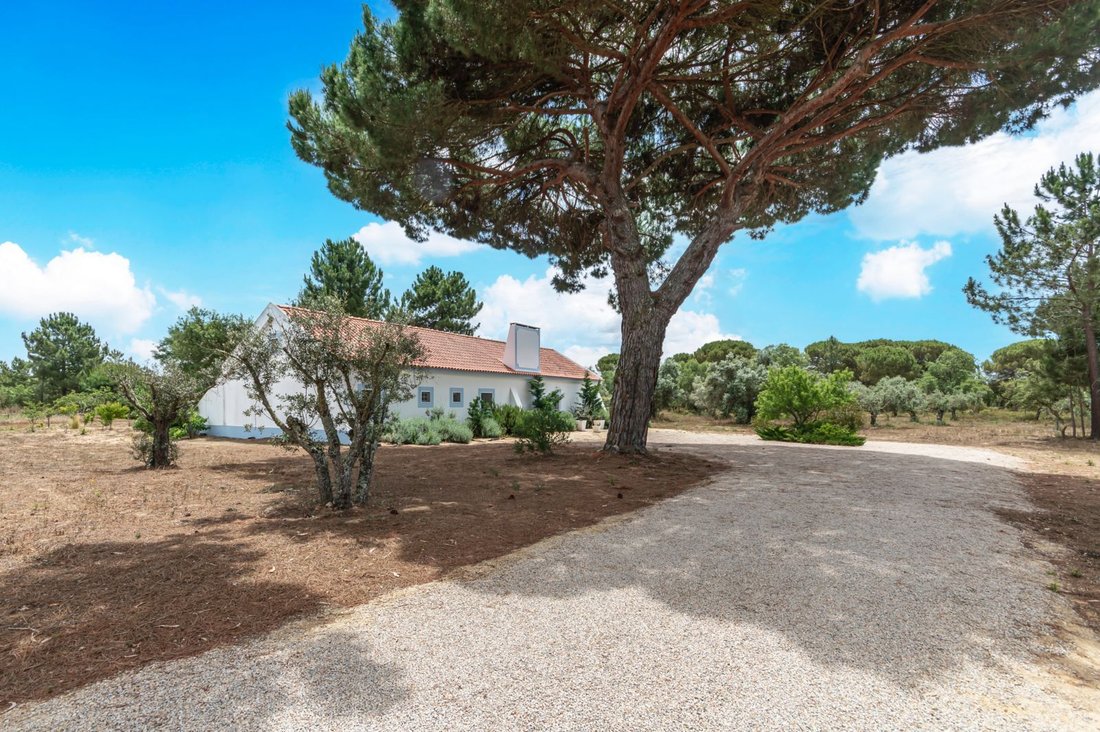 Country House in Melides, Setubal, Portugal 2 - 18392868