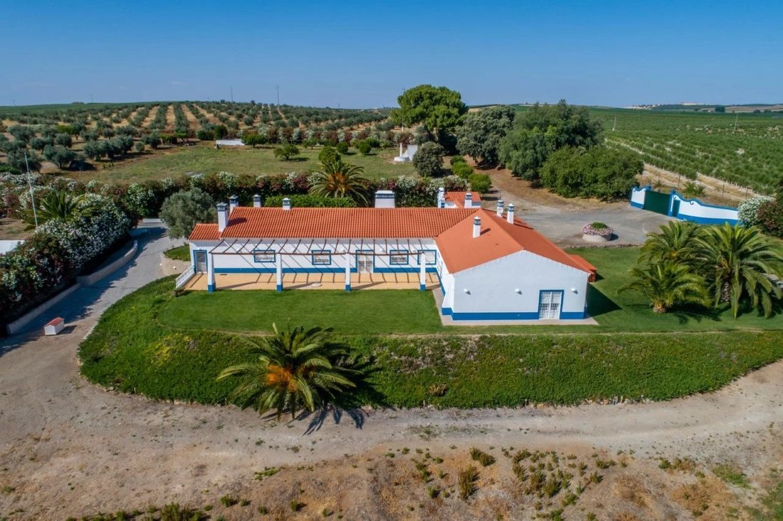 Country House in Ferreira do Alentejo e Canhestros, Beja District, Portugal 3 - 18782601