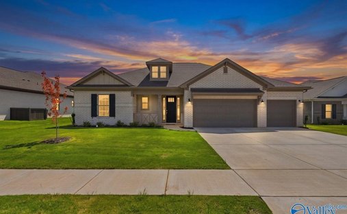 House in Madison, Alabama, United States 1