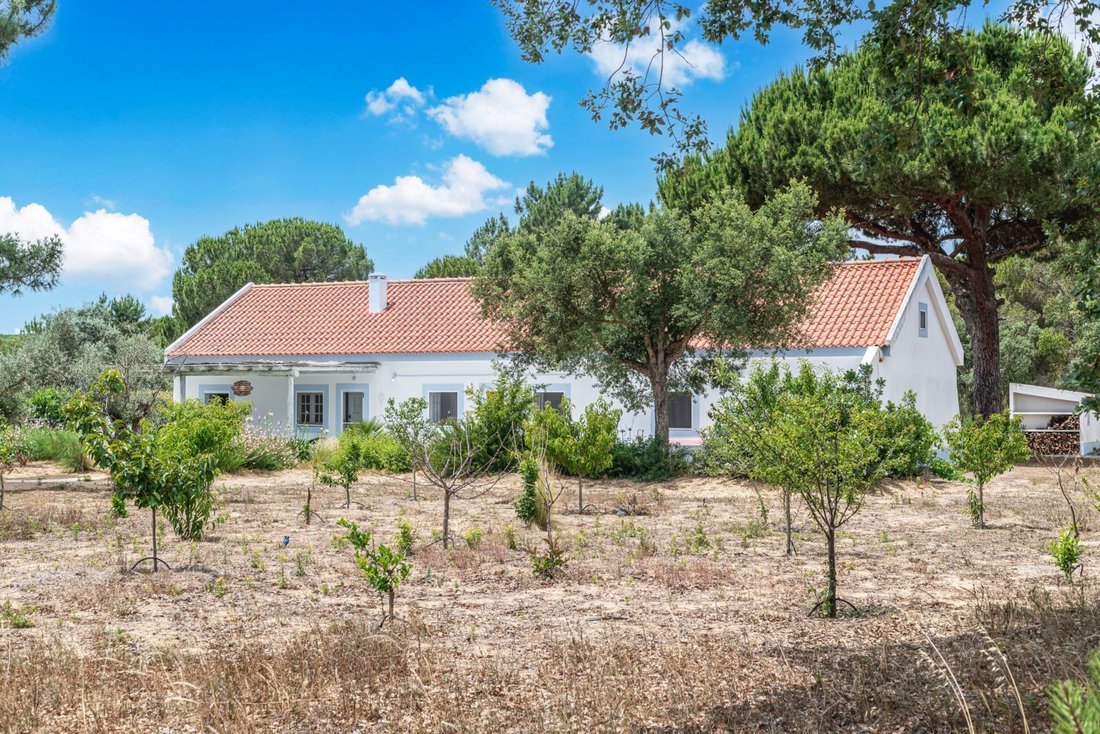 Country House in Melides, Setubal, Portugal 5 - 18392868