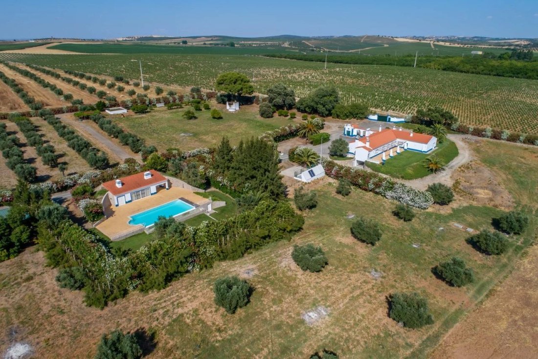 Country House in Ferreira do Alentejo e Canhestros, Beja District, Portugal 1 - 18782601