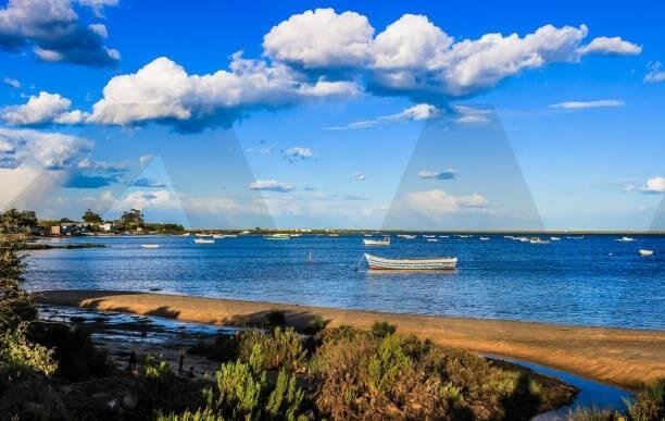 Bungalow a Pechao, Algarve, Portogallo 2 - 18782472