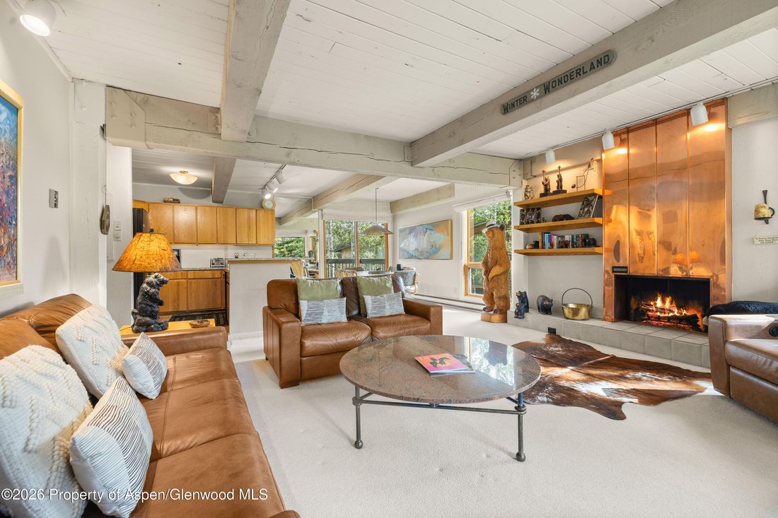 Condo in Snowmass Village, Colorado, United States 4 - 18616301