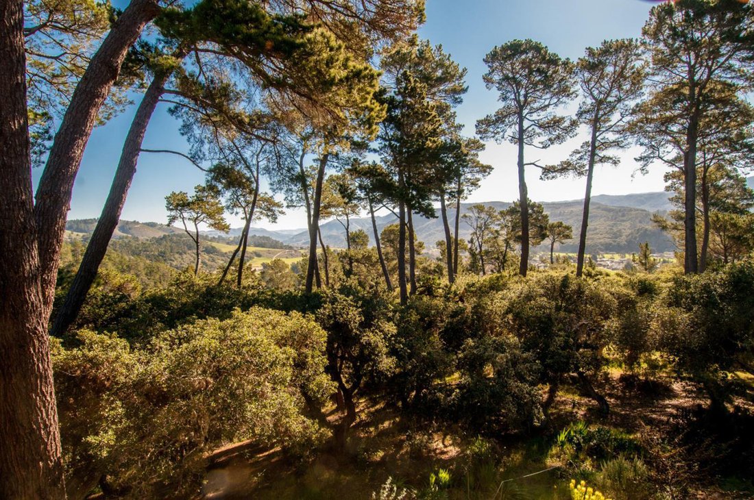Condominio a Carmel-by-the-Sea, California, Stati Uniti 3 - 18783114