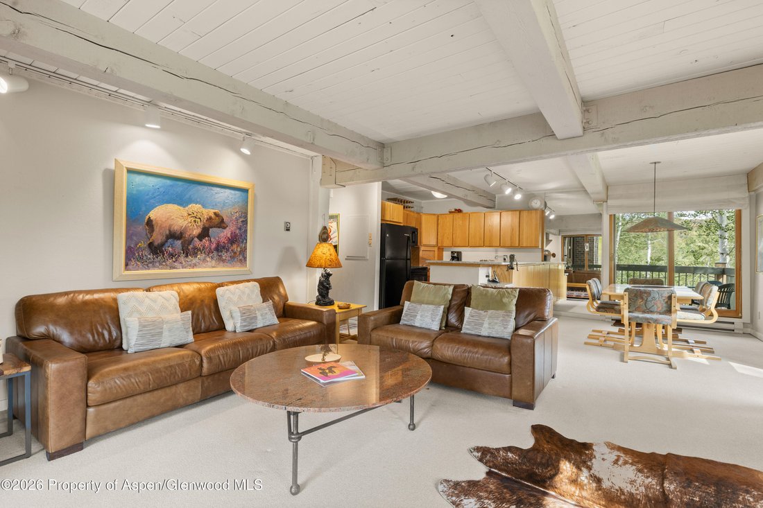 Condo in Snowmass Village, Colorado, United States 3 - 18616301