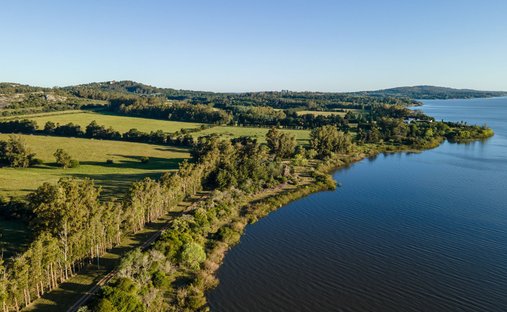 Azienda agricola a Punta Ballena, Dipartimento di Maldonado, Uruguay 1