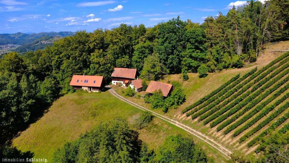 House in Nestelbach, Styria, Austria 1 - 18782891