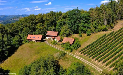 Casa en Nestelbach, Estiria, Austria 1